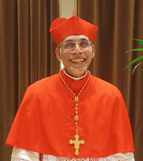 The Archbishop-cardinal-felipe-neri-ferrao