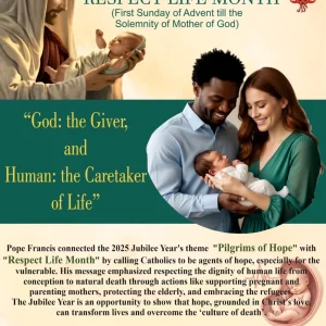 9c2e538b-1740-4e80-8705-d264ab631bd6